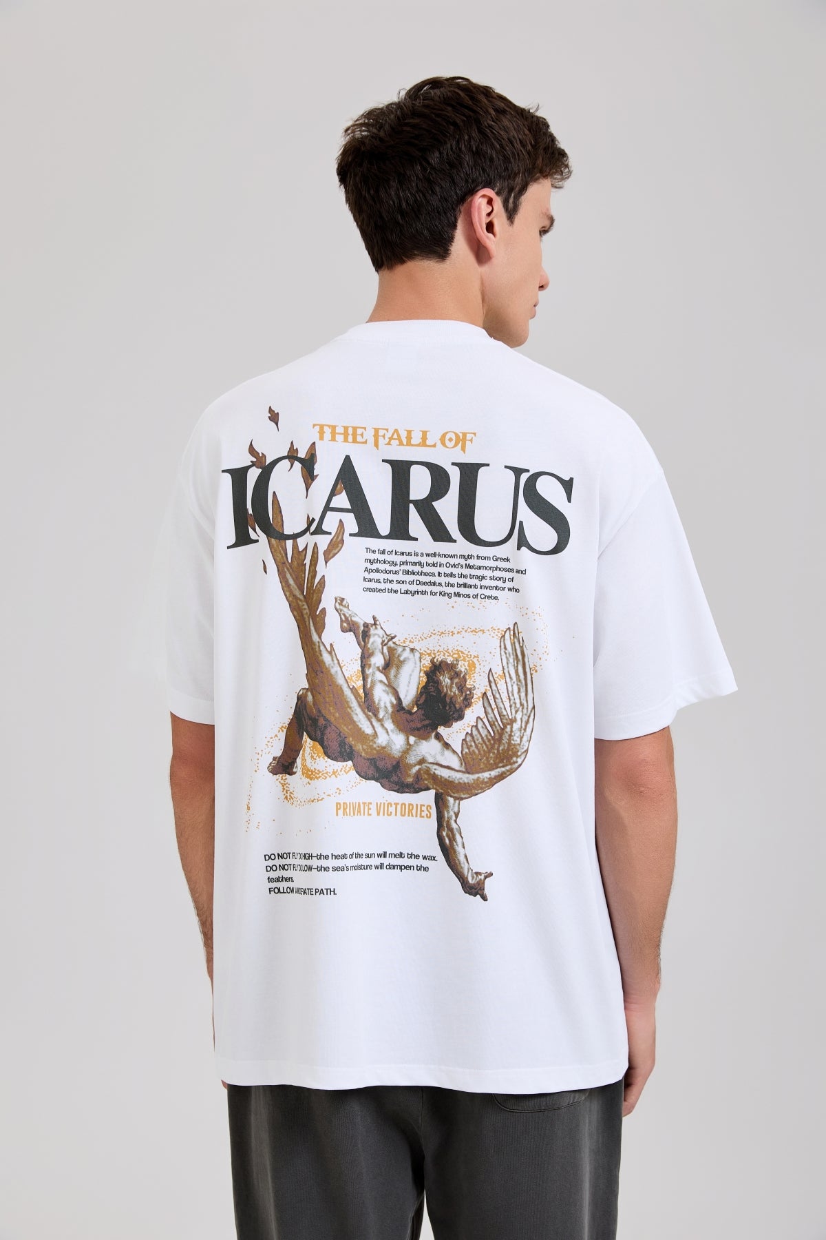 Fall of Olympus T-Shirt