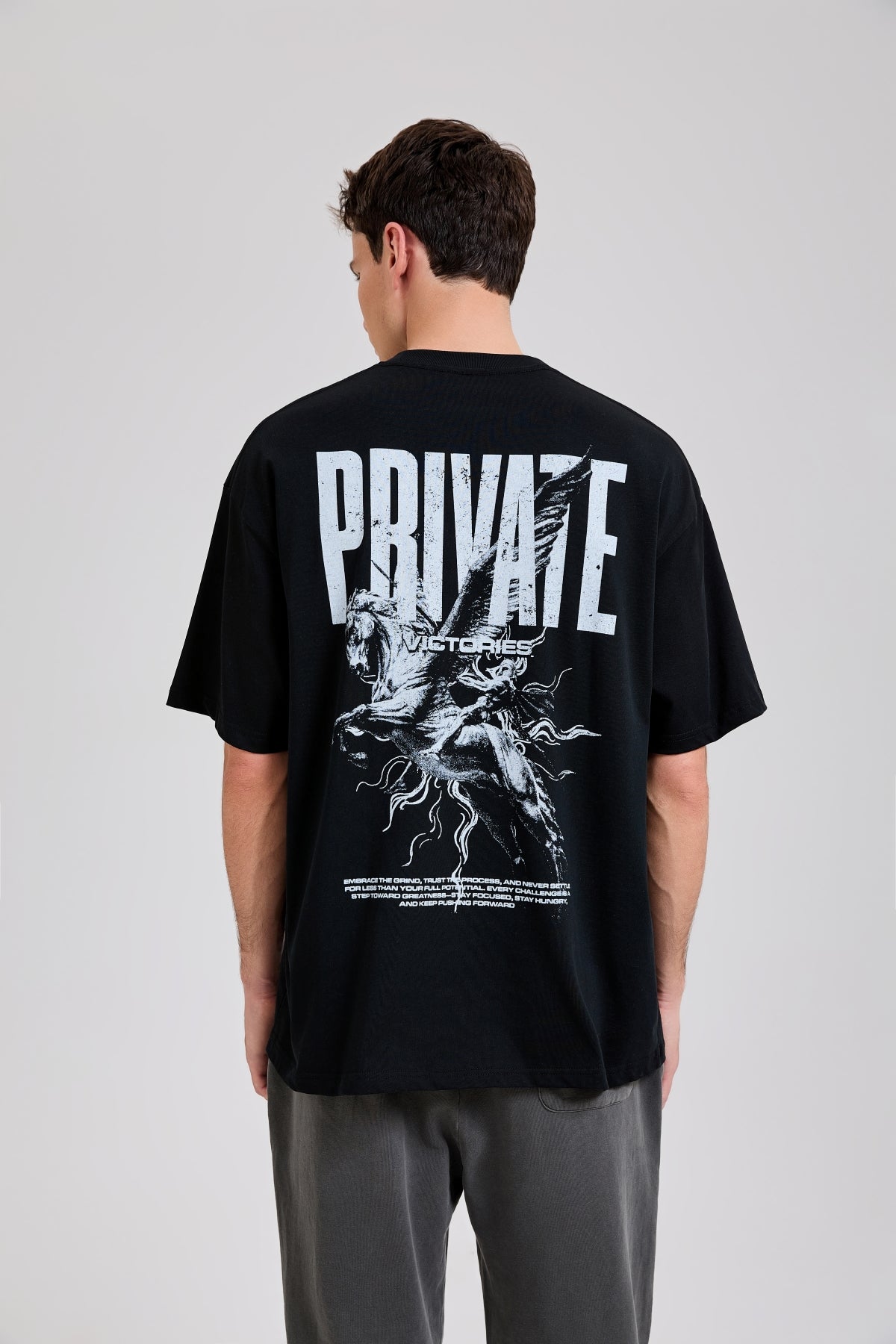 Olympus Flight T-Shirt