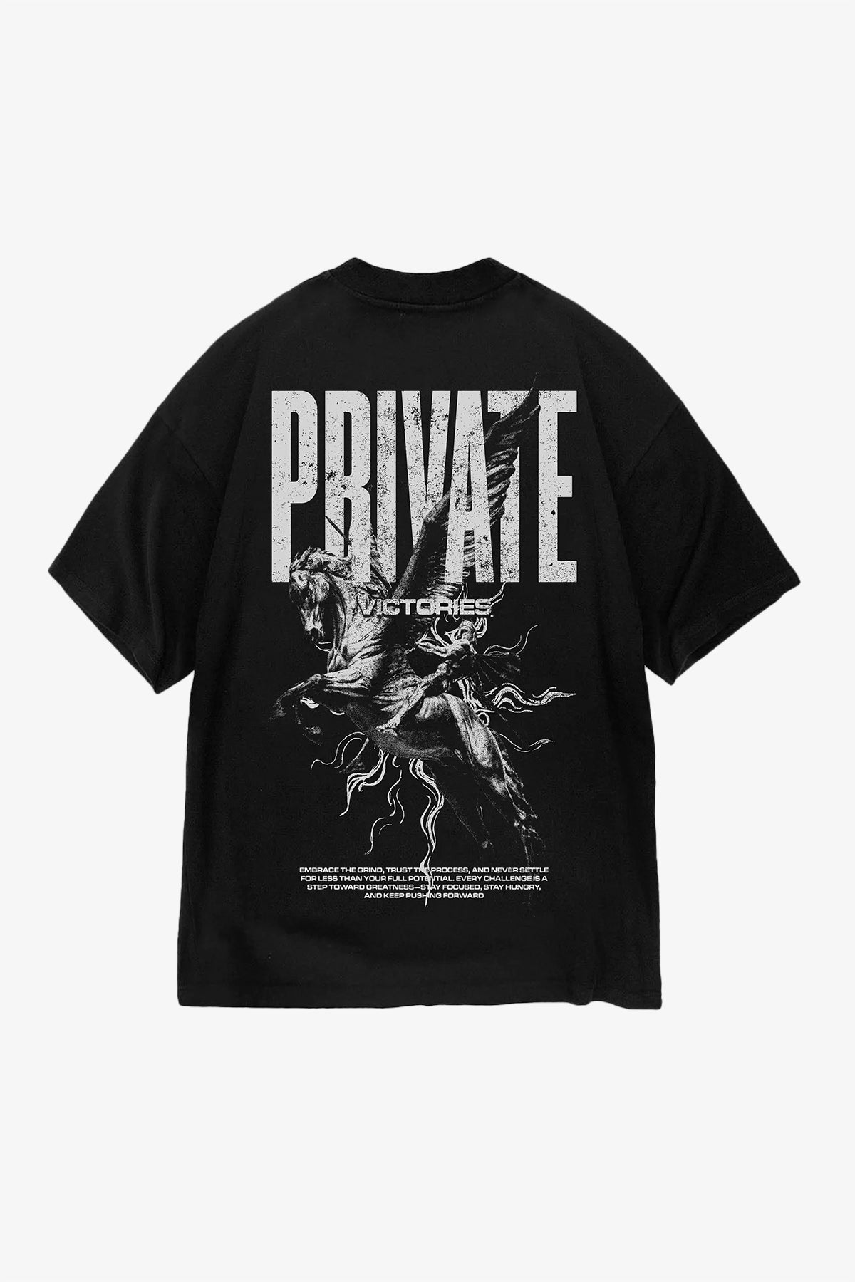 Olympus Flight T-Shirt