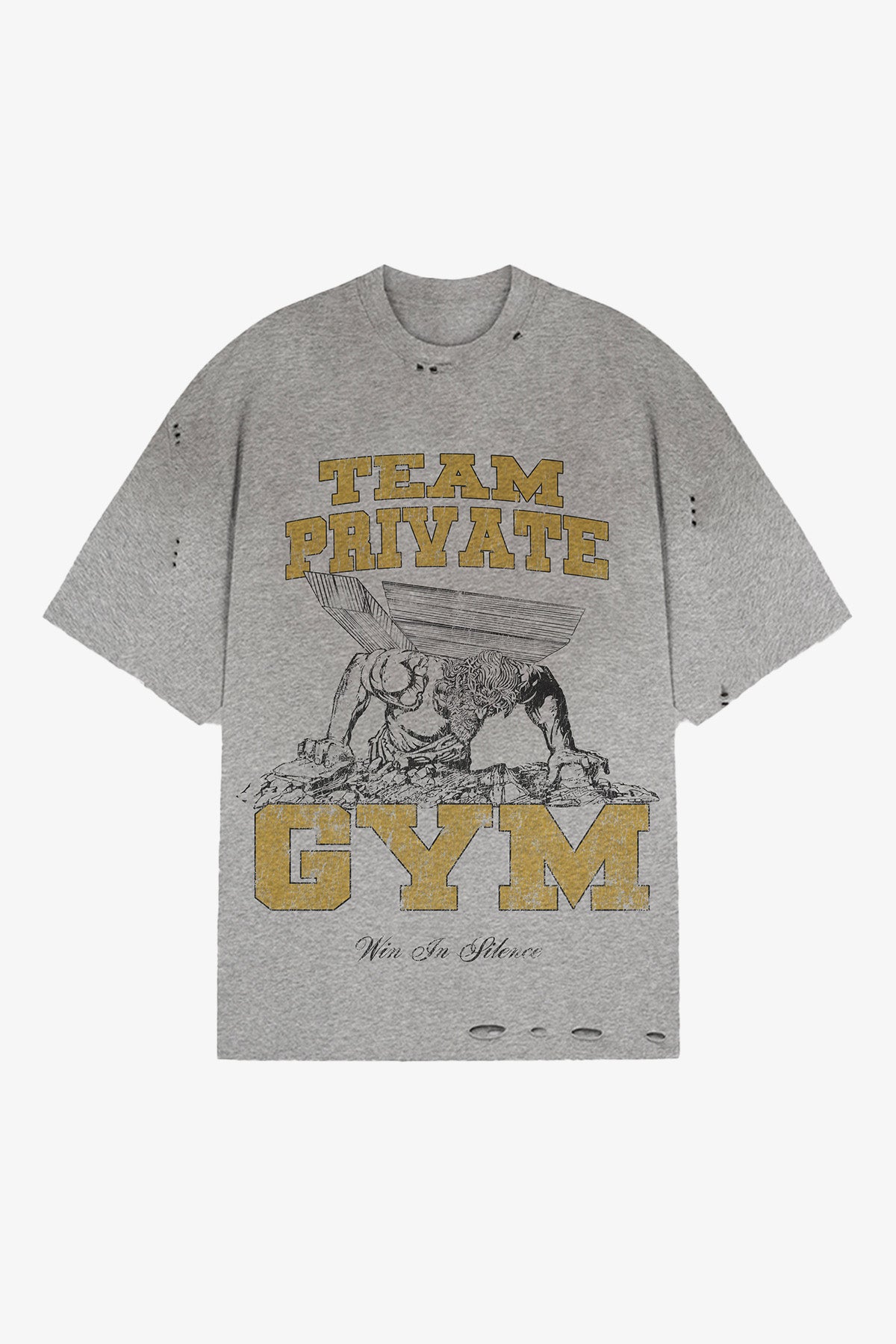 Team Private Gym T-Shirt